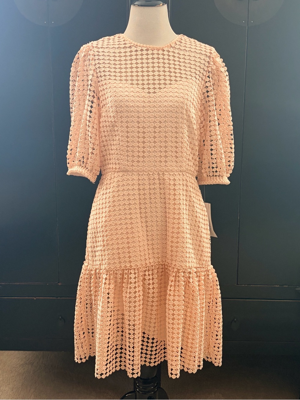 Donna Morgan Women's Peach Lace Dress